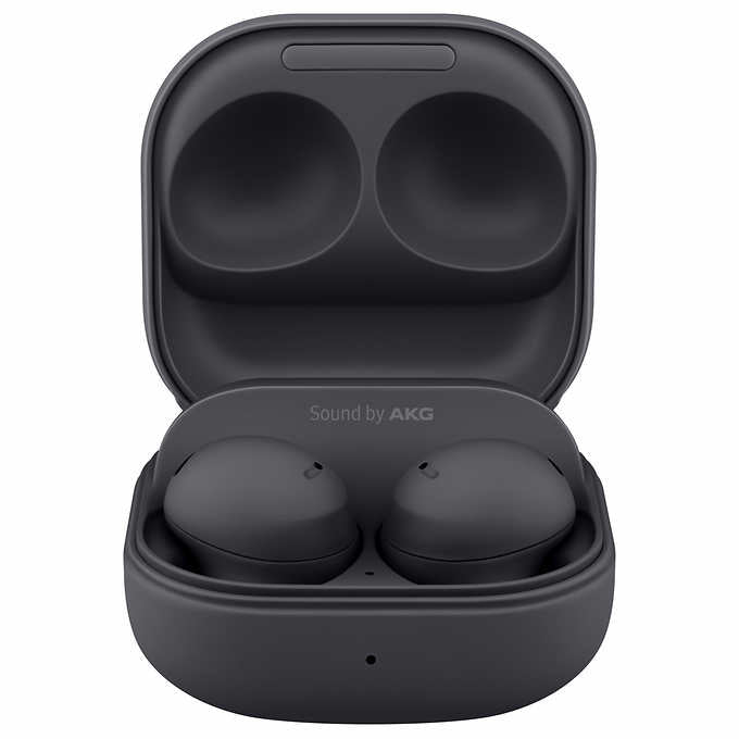 Samsung Galaxy Buds 2 Pro - Graphite