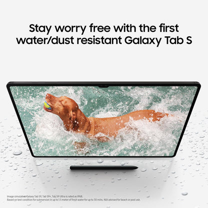 Samsung Galaxy Tab S9 Ultra – 14.6" Tablet (Wi-Fi/LTE)